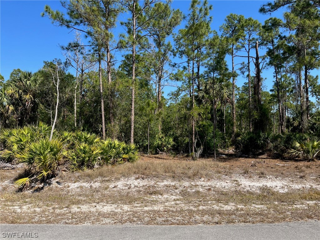 24th Avenue NE Naples FL 34120 223020098 image1