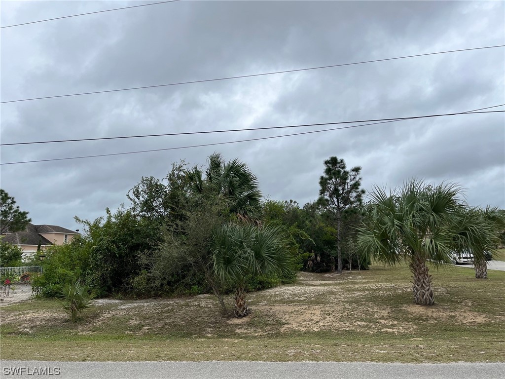 27th Avenue NE Naples FL 34120 223092606 image1