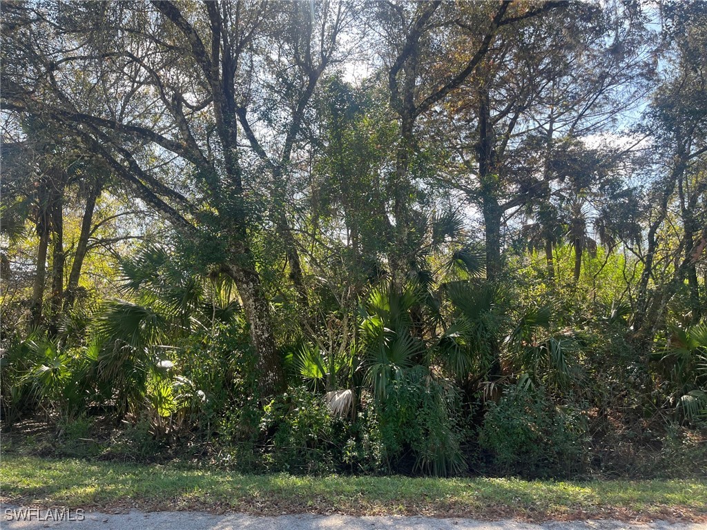 28th Avenue SE Naples FL 34117 225082329 image3