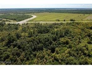 2990 W State Rd 80 Labelle FL 33935 2025002084 image16