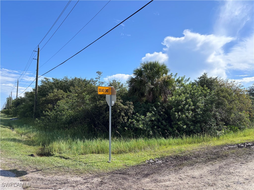 29th Ave Ne Naples FL 34120 225067735 image4