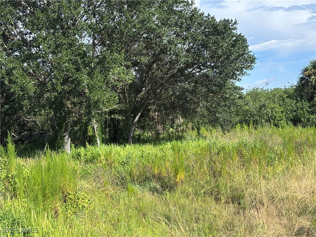 29th Ave Ne Naples FL 34120 225067735 image6