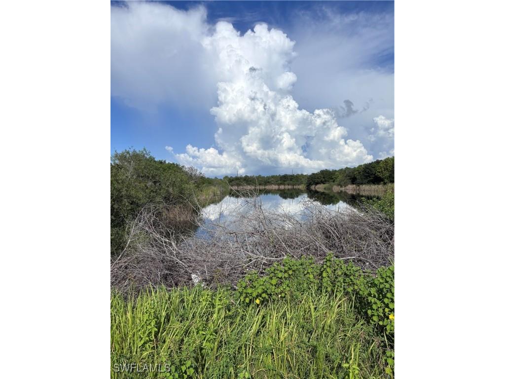 29th Ave Ne Naples FL 34120 225067735 image7