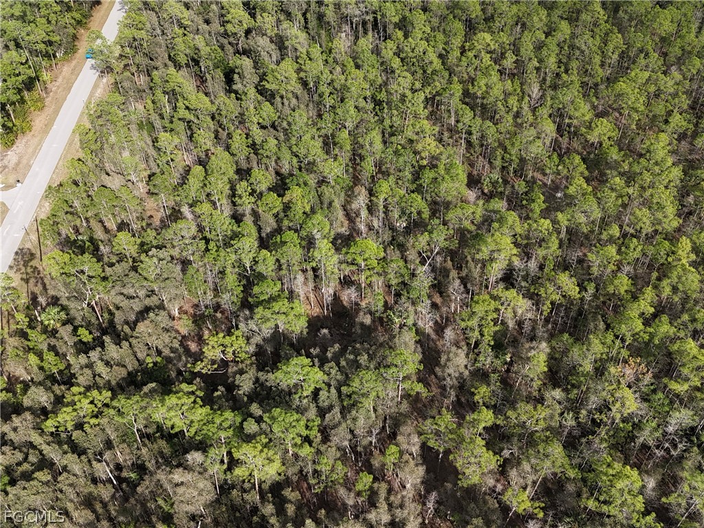 2nd Avenue NE Naples FL 34117 2026013477 image7