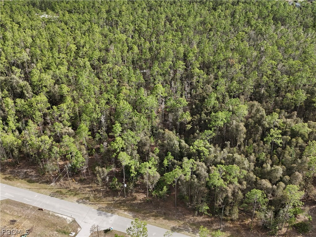 2nd Avenue NE Naples FL 34117 2026013477 image9