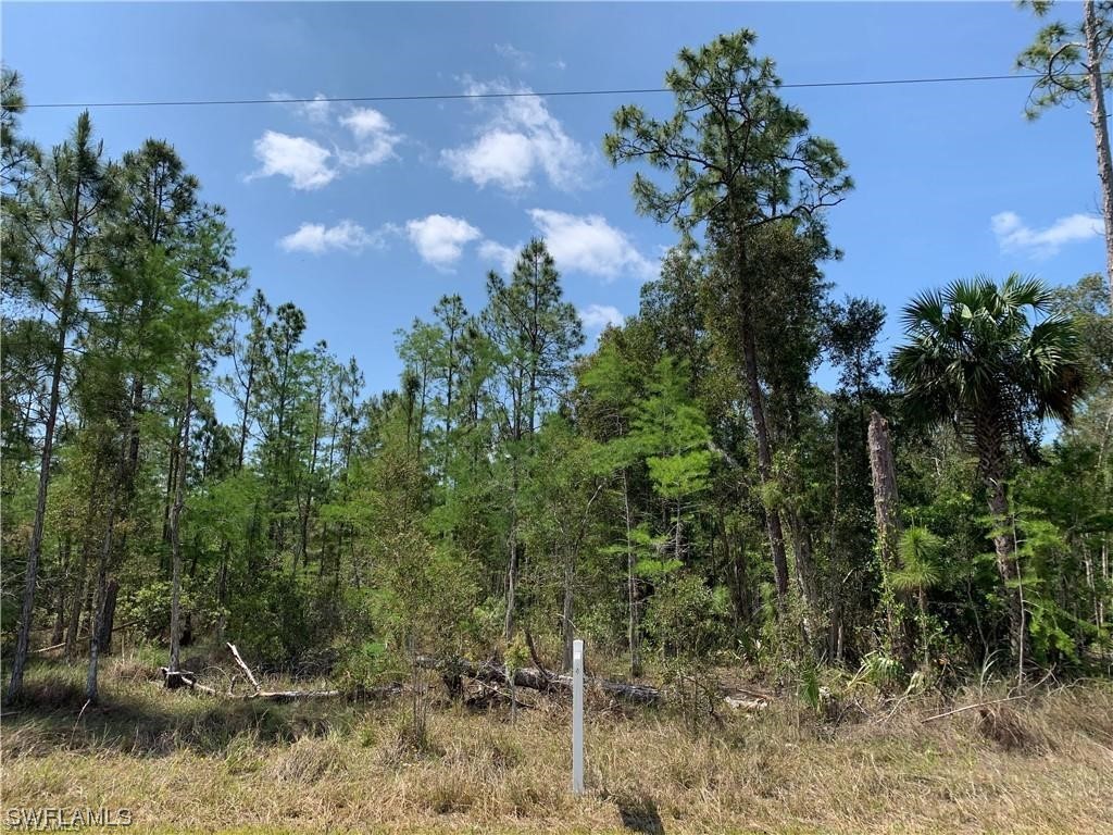 2nd Avenue NE Naples FL 34120 223037436 image1