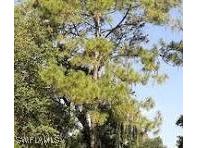 2nd Avenue NE Naples FL 34120 225026829 image1