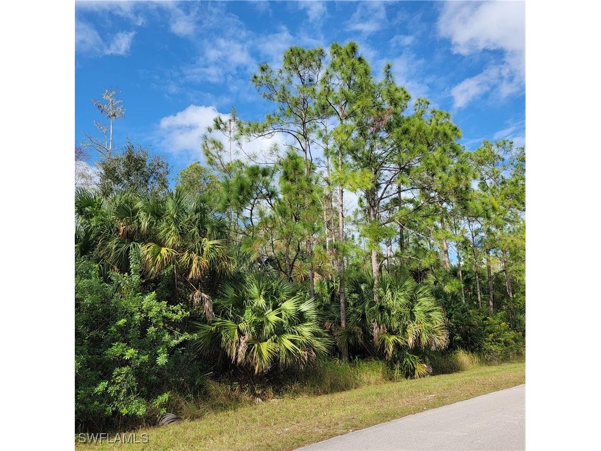 2nd St Ne Naples FL 34120 225044427 image11