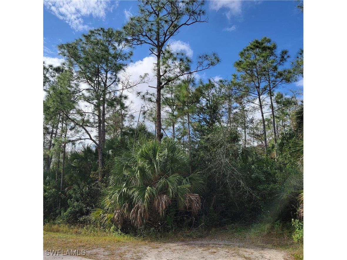 2nd St Ne Naples FL 34120 225044427 image3