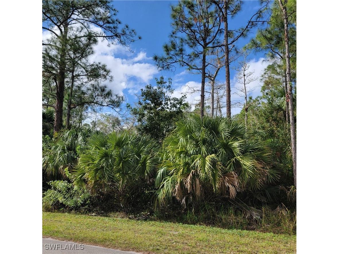 2nd St Ne Naples FL 34120 225044427 image4