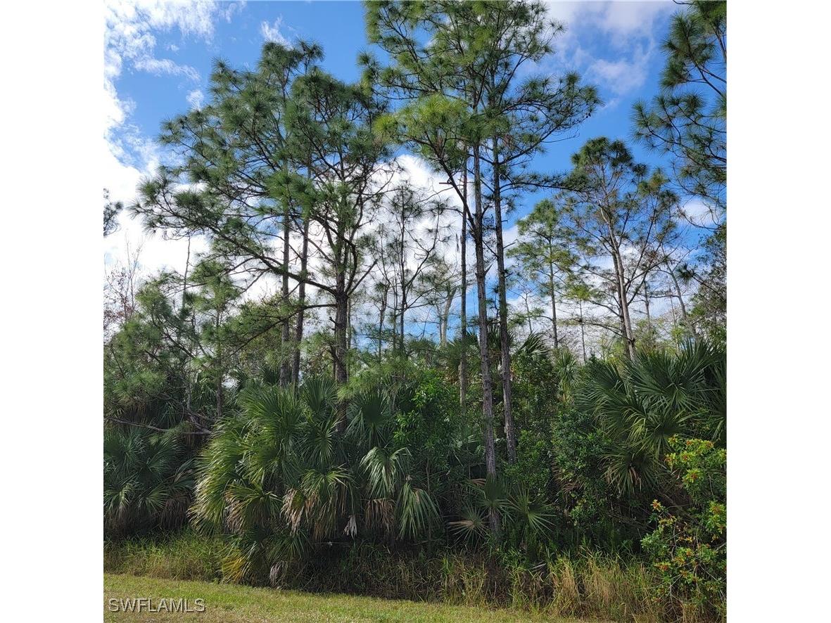 2nd St Ne Naples FL 34120 225044427 image6