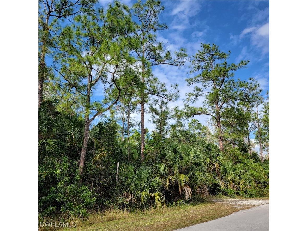 2nd St Ne Naples FL 34120 225044427 image7