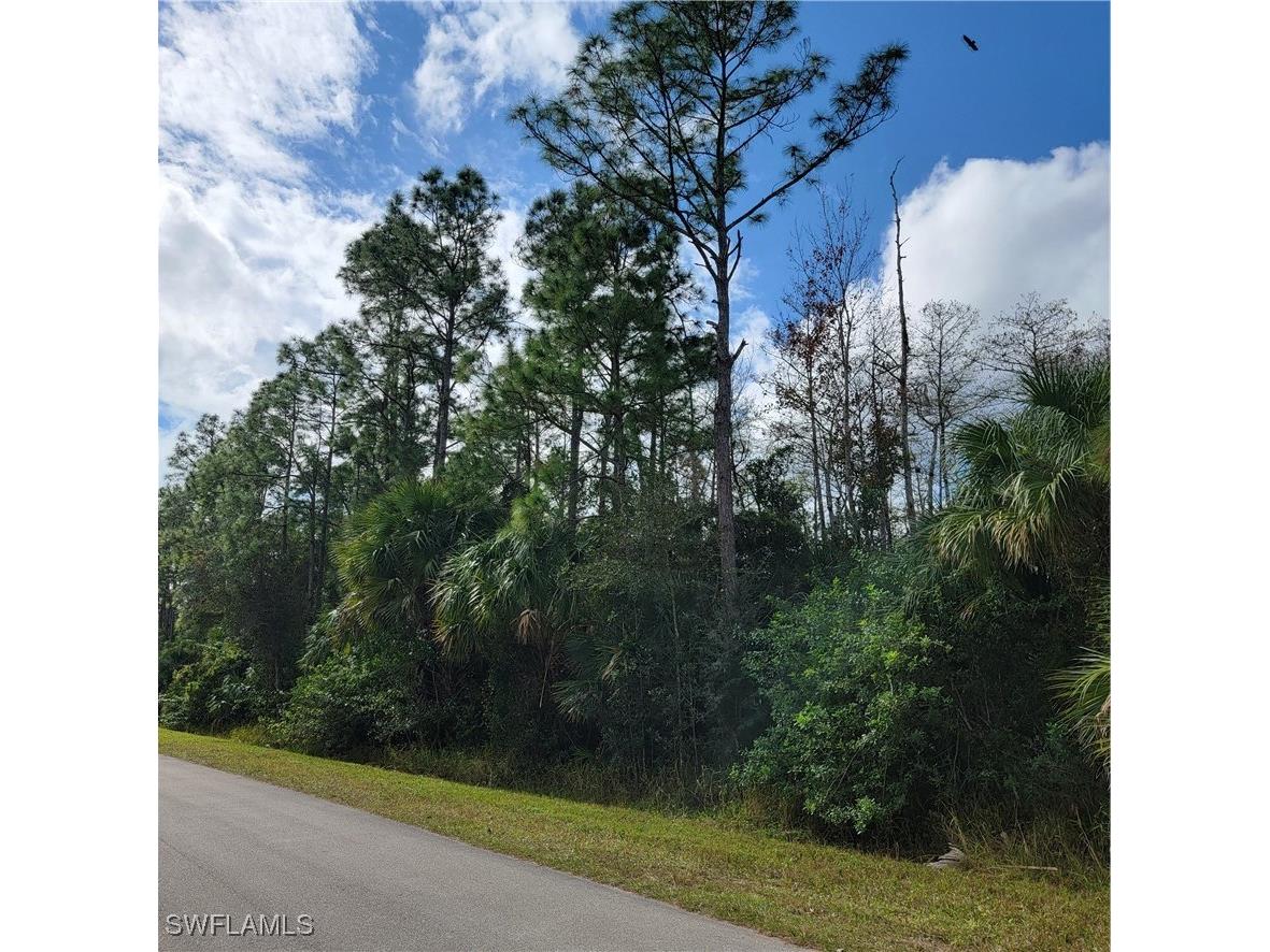 2nd St Ne Naples FL 34120 225044427 image8