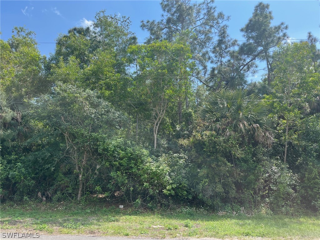 31st Avenue SW Naples FL 34117 224026763 image1