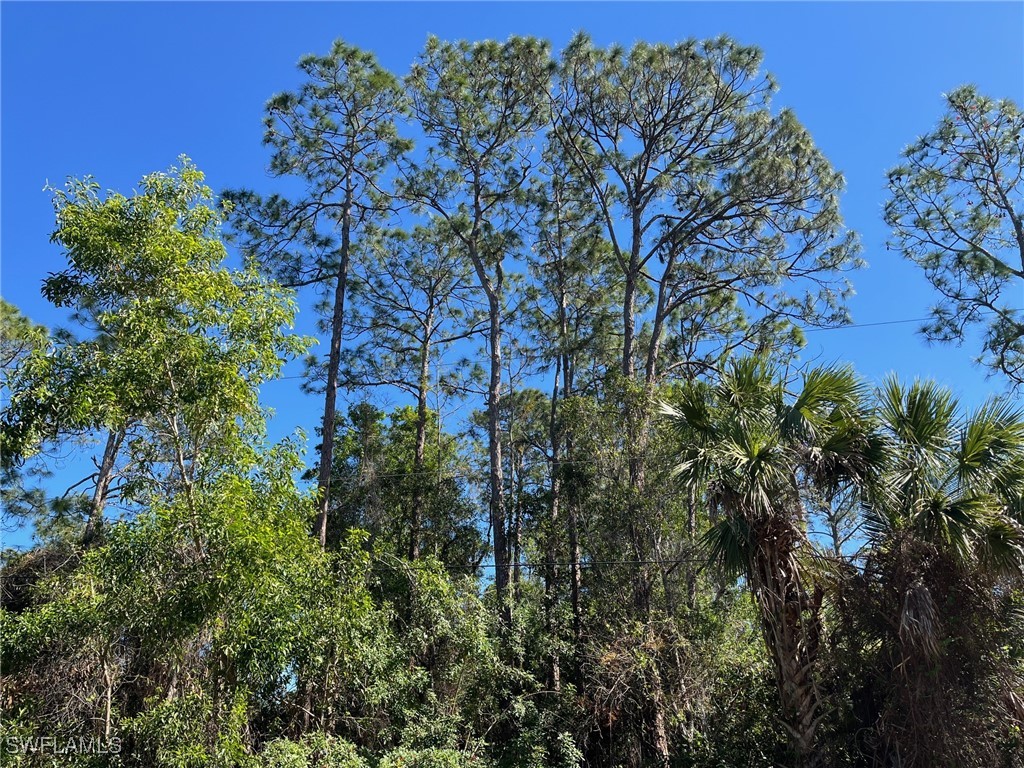 31st Street SW Naples FL 34117 225009763 image1