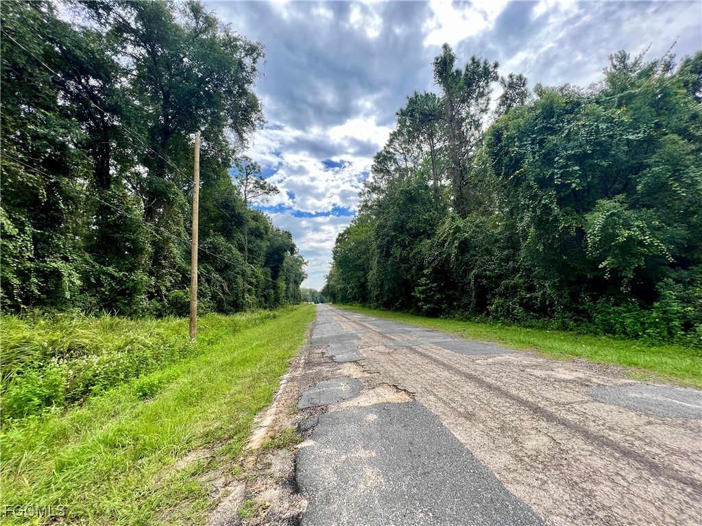 325 Eridani Court Citrus Springs FL 33434 2025011723 image3