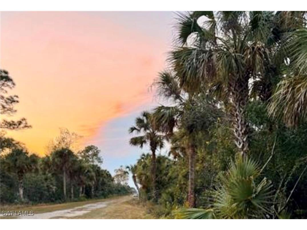 36th Avenue SE Naples FL 34117 226005110 image2