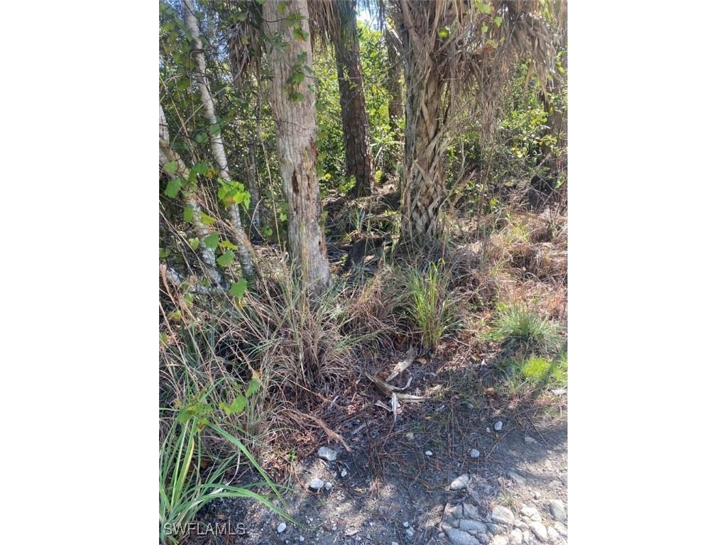 36th Avenue SE Naples FL 34117 226005110 image3