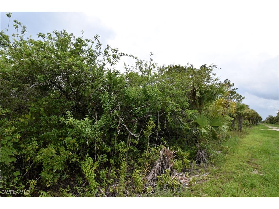 36th Avenue SE Naples FL 34117 225081357 image2