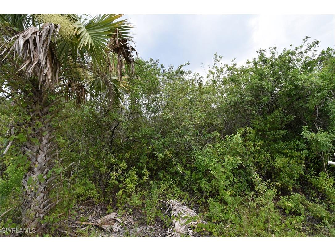 36th Avenue SE Naples FL 34117 225081357 image3