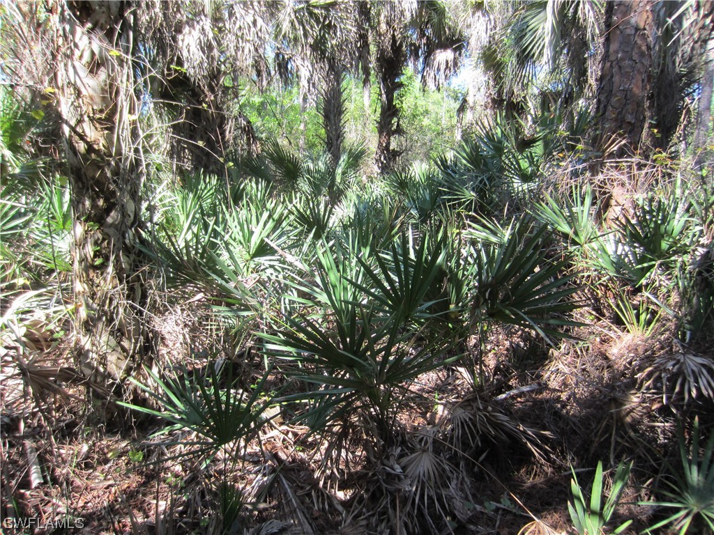 37th Avenue NW Naples FL 34120 223023478 image1