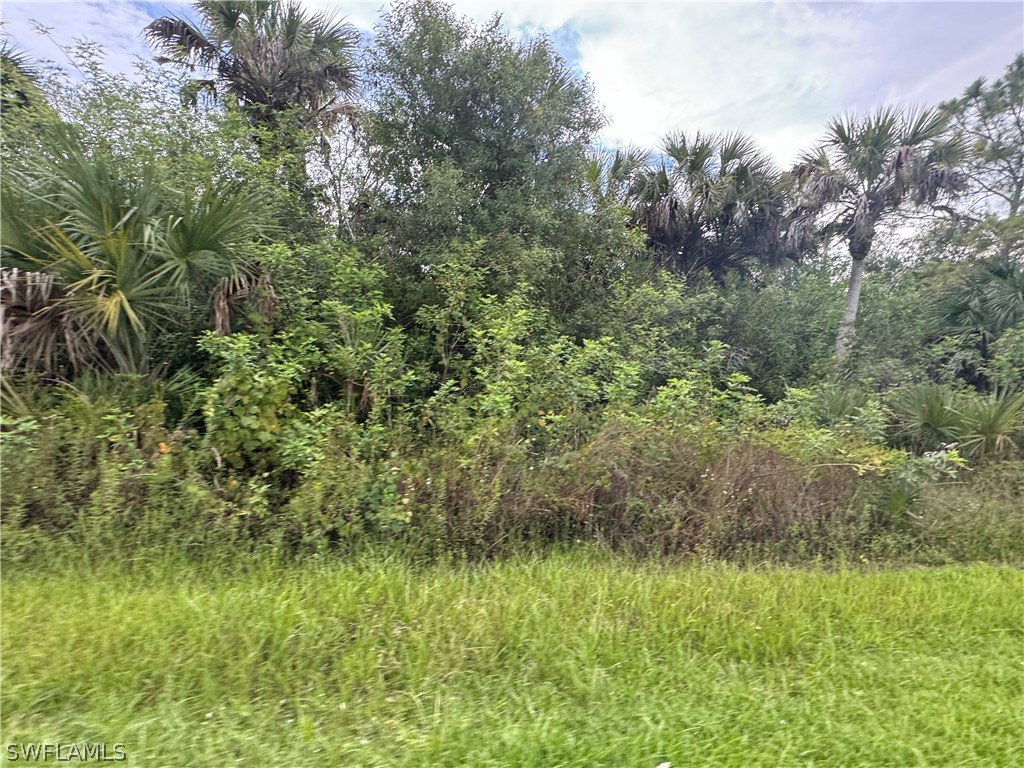 38th Avenue SE Naples FL 34117 224053866 image1