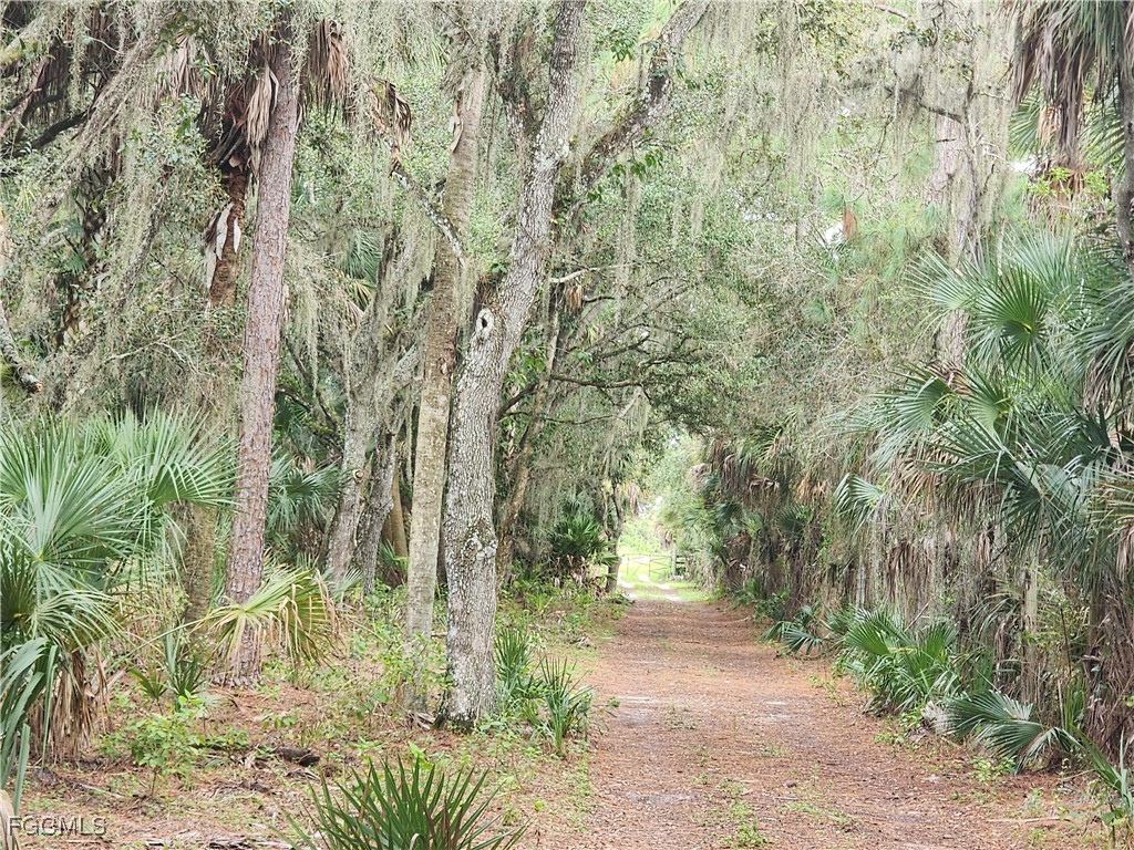 3945 & 3835 Cr 833 Clewiston FL 33440 2025015063 image10