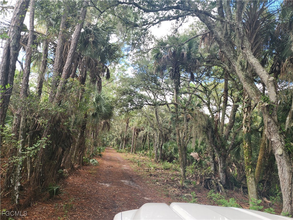 3945 & 3835 Cr 833 Clewiston FL 33440 2025015063 image11