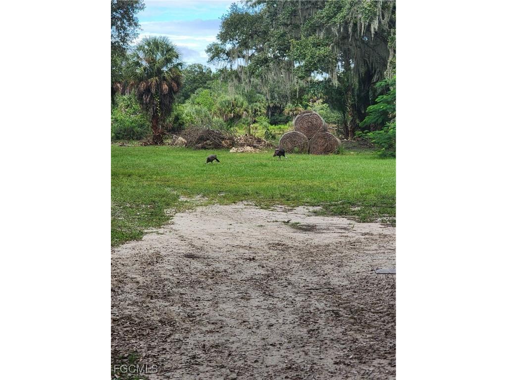 3945 & 3835 Cr 833 Clewiston FL 33440 2025015063 image13