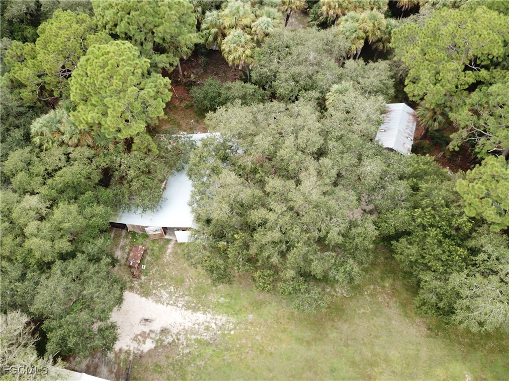 3945 & 3835 Cr 833 Clewiston FL 33440 2025015063 image4