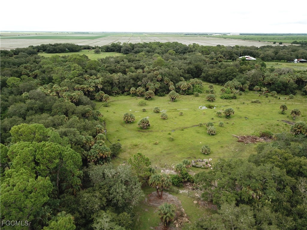 3945 & 3835 Cr 833 Clewiston FL 33440 2025015063 image5