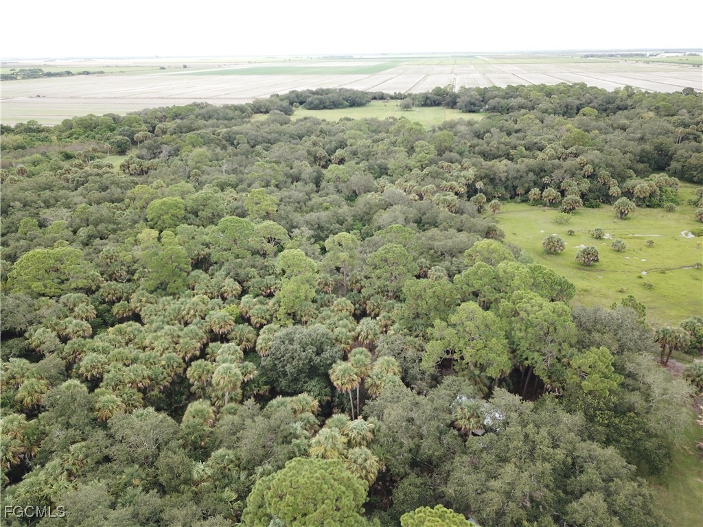 3945 & 3835 Cr 833 Clewiston FL 33440 2025015063 image7