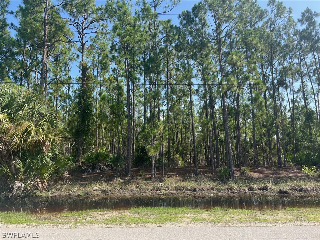 39th Avenue NE Naples FL 34120 224055475 image1