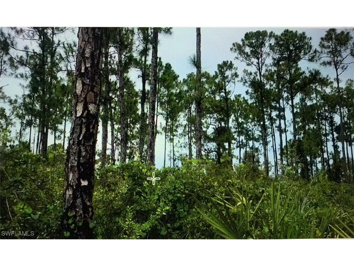 41st Avenue NE Naples FL 34120 225072580 image1