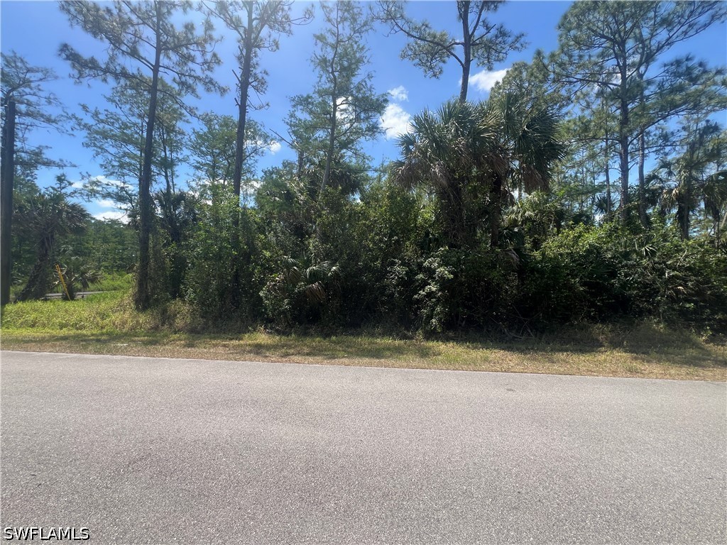 41st Avenue NE Naples FL 34120 226021716 image1