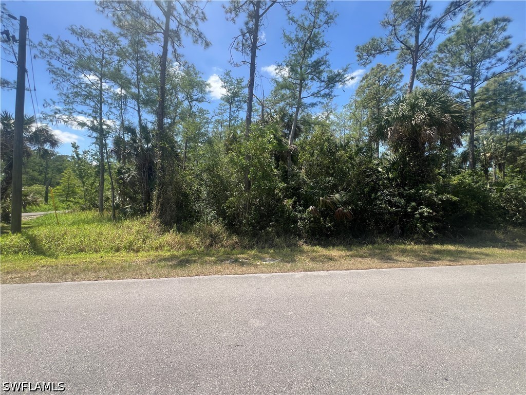 41st Avenue NE Naples FL 34120 226021716 image2