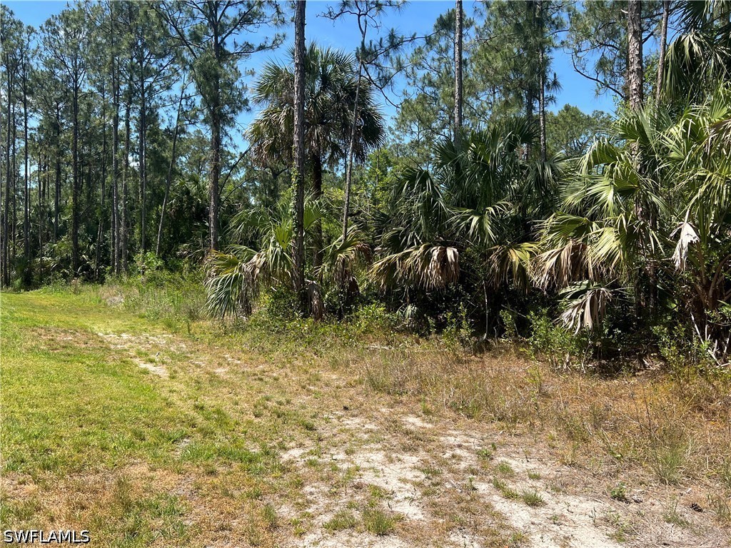 41st Avenue NE Naples FL 34120 226021716 image3