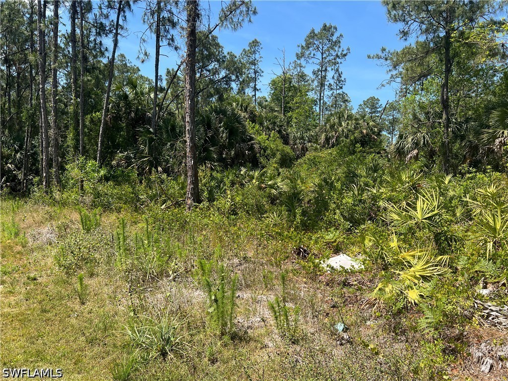 41st Avenue NE Naples FL 34120 226021716 image4