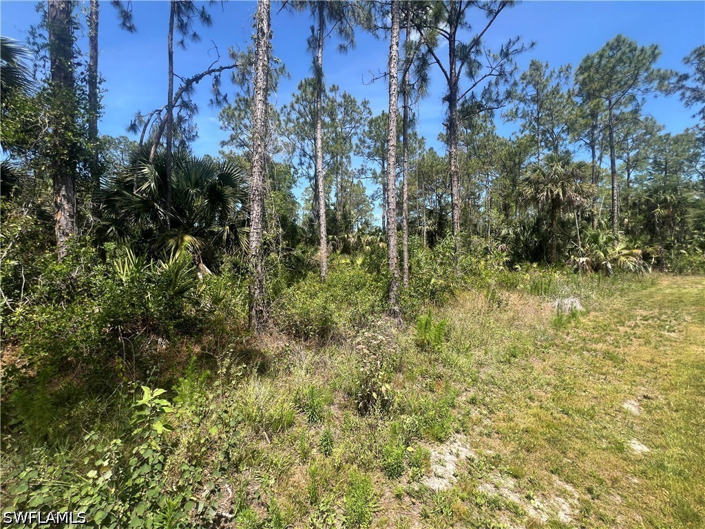 41st Avenue NE Naples FL 34120 226021716 image7