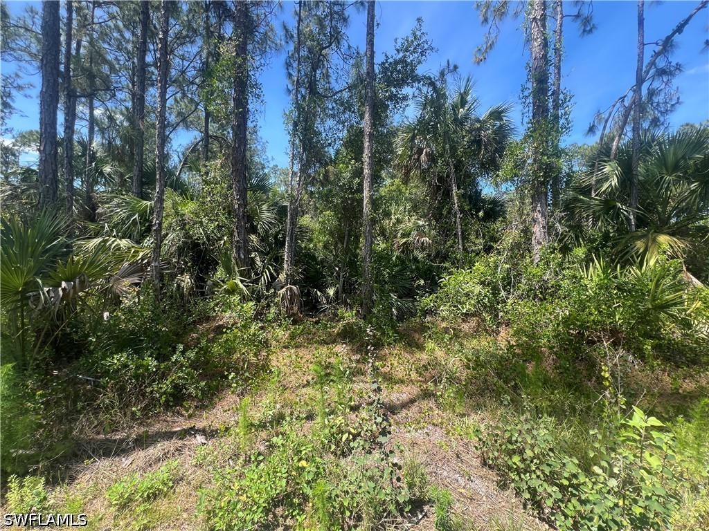41st Avenue NE Naples FL 34120 226021716 image8