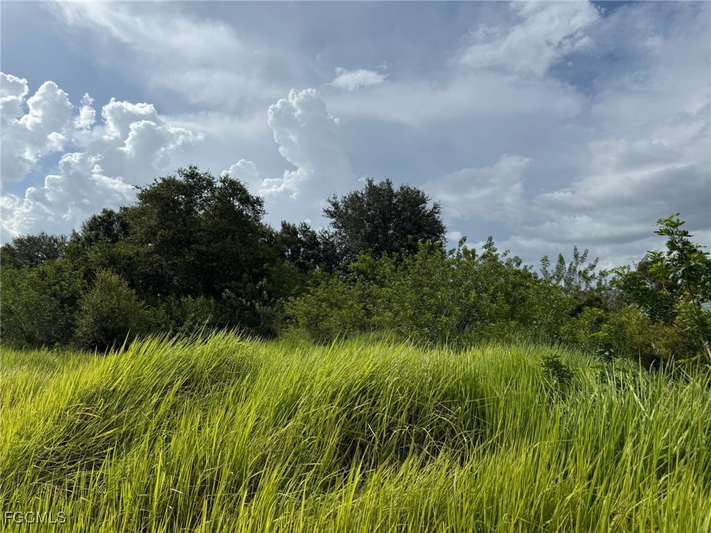 4994 2nd Road Labelle FL 33935 2025008613 image1