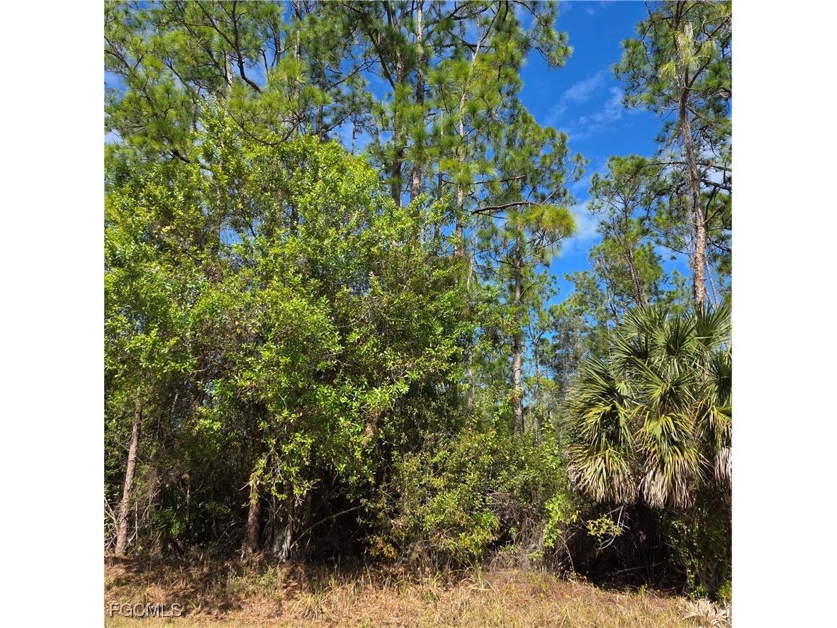 47th Avenue NE Naples FL 34120 2026006129 image1