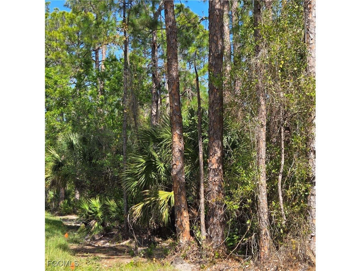 47th Avenue NE Naples FL 34120 2026006129 image2