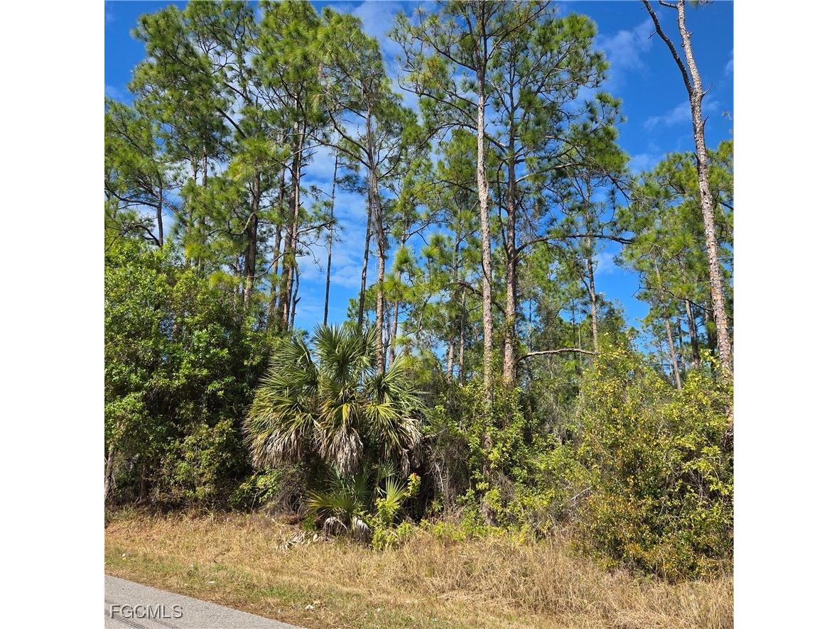 47th Avenue NE Naples FL 34120 2026006129 image3