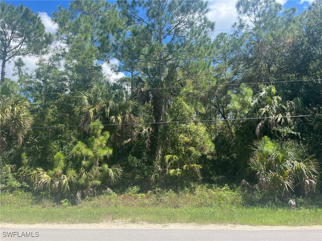 4th Street NE Naples FL 34120 224097818 image1