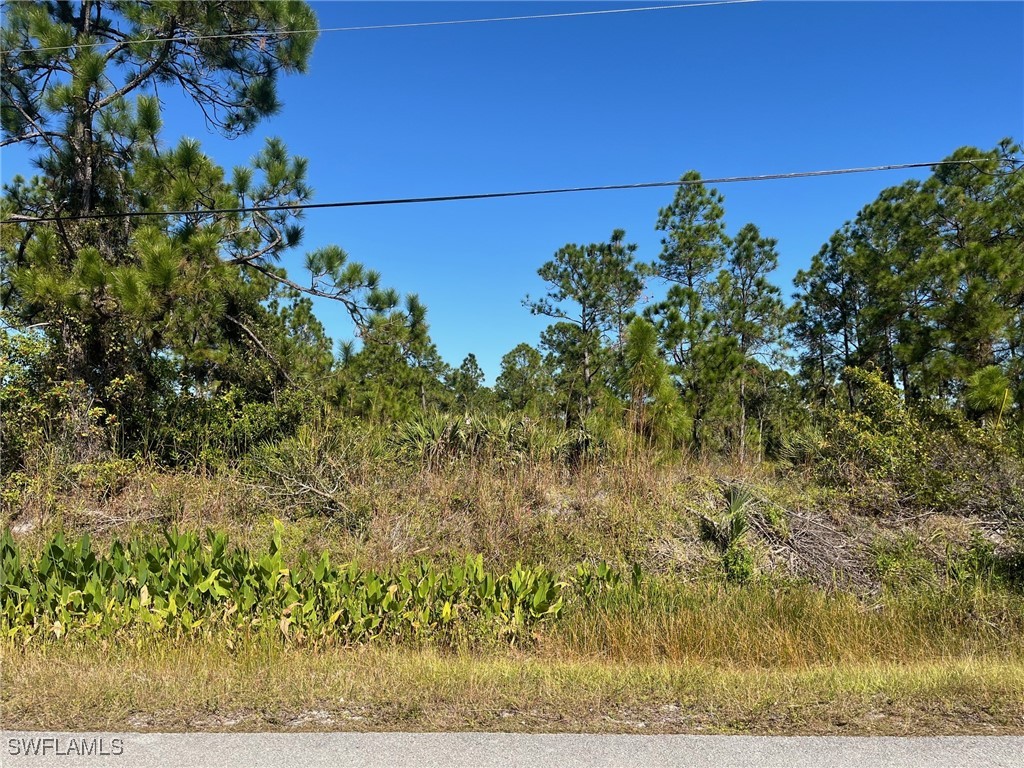 54th Avenue NE Naples FL 34120 225080151 image5