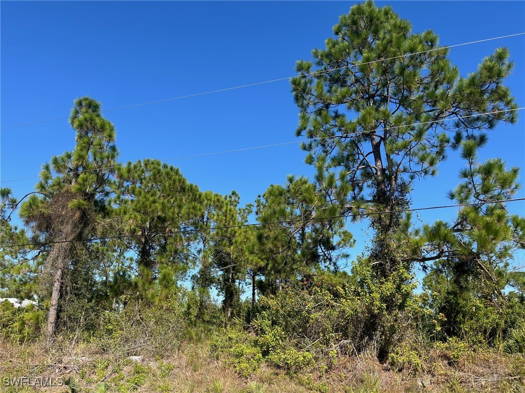 54th Avenue NE Naples FL 34120 225080151 image6