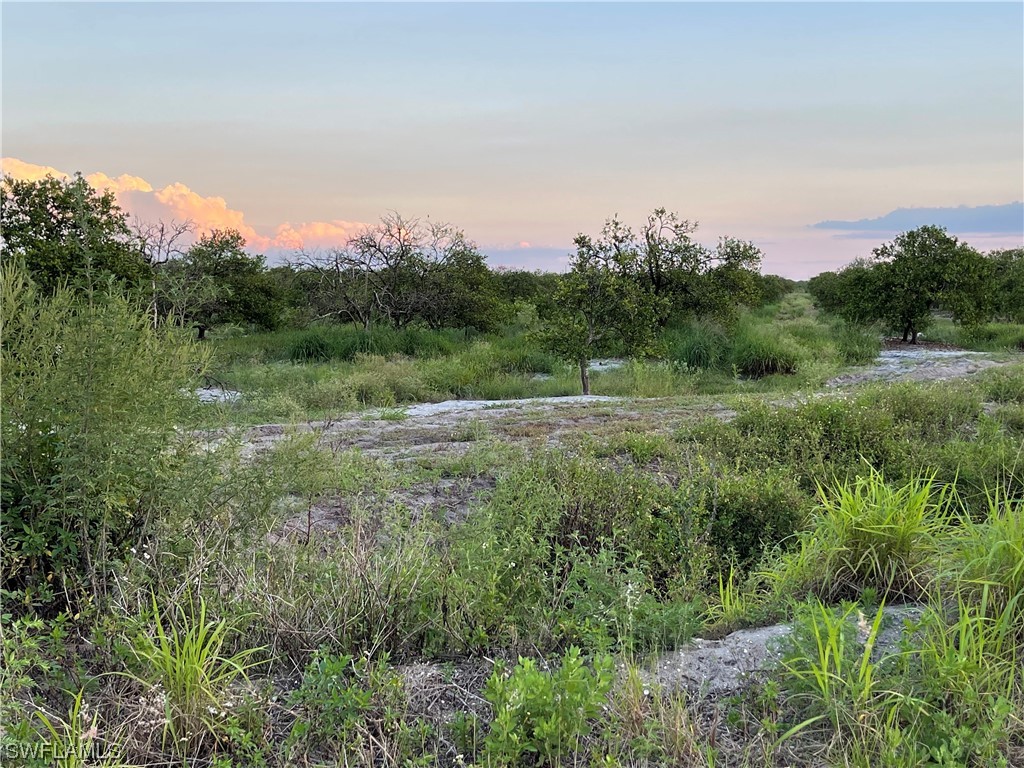 6355 7th Road Labelle FL 33935 223063368 image1