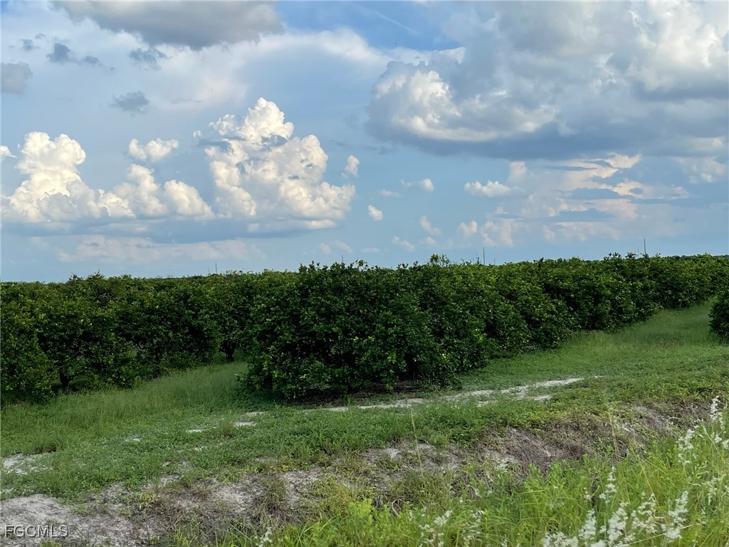 6380 + 6340 6th Road Labelle FL 33935 2026006540 image1