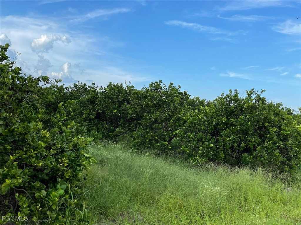 6380 + 6340 6th Road Labelle FL 33935 2026006540 image2